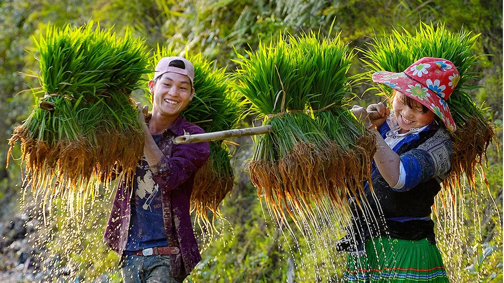 Cảnh sắc lộng lẫy của Việt Nam qua góc nhìn của các nhiếp ảnh gia quốc tế