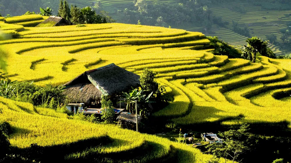 Sau 45 năm cuộc chiến đấu bảo vệ biên giới phía Bắc: Dải biên cương tự hào bước tiếp