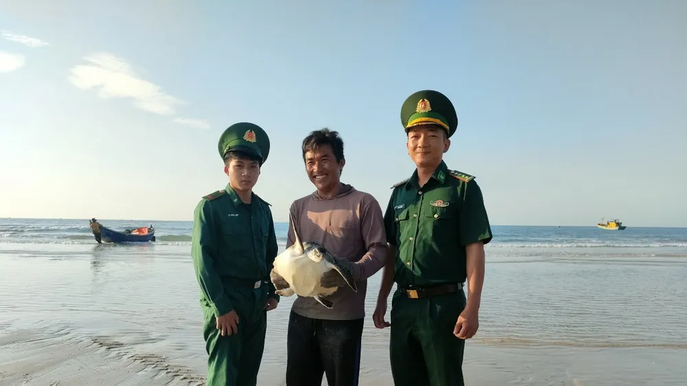 Ngư dân cùng lực lượng biên phòng Bà Rịa - Vũng Tàu thả đồi mồi quý hiếm về biển