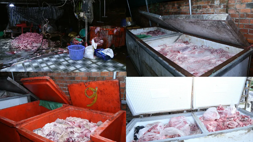 Tang vật trong vụ án đường dây thu mua, giết mổ, tiêu thụ heo bệnh, heo chết. Ảnh: CA TPĐN