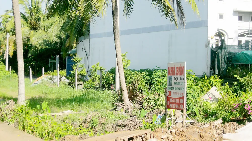 Đất nền hạ nhiệt