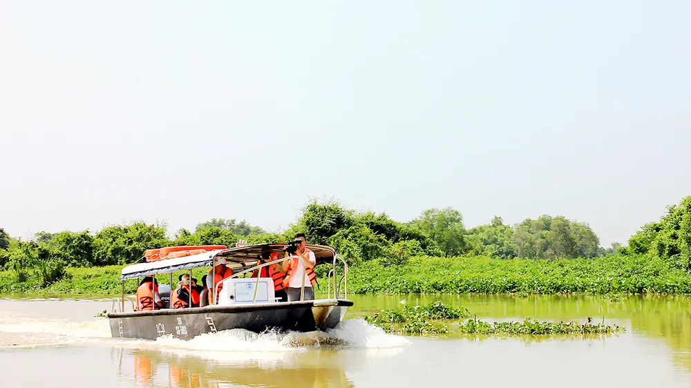 Một tour du lịch khám phá ở huyện Cần Giờ, TPHCM