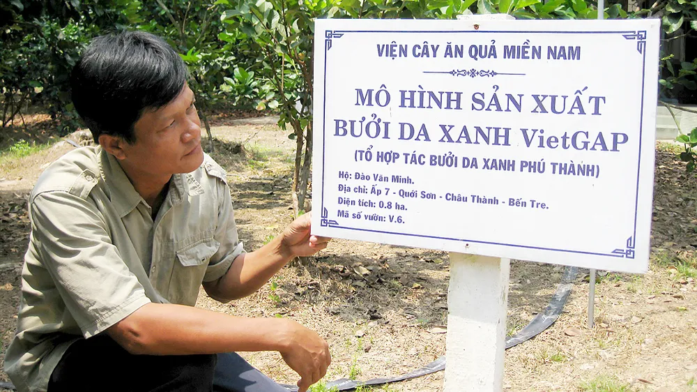 Phát triển vườn cây VietGAP ở ĐBSCL: Còn nhiều gian nan 