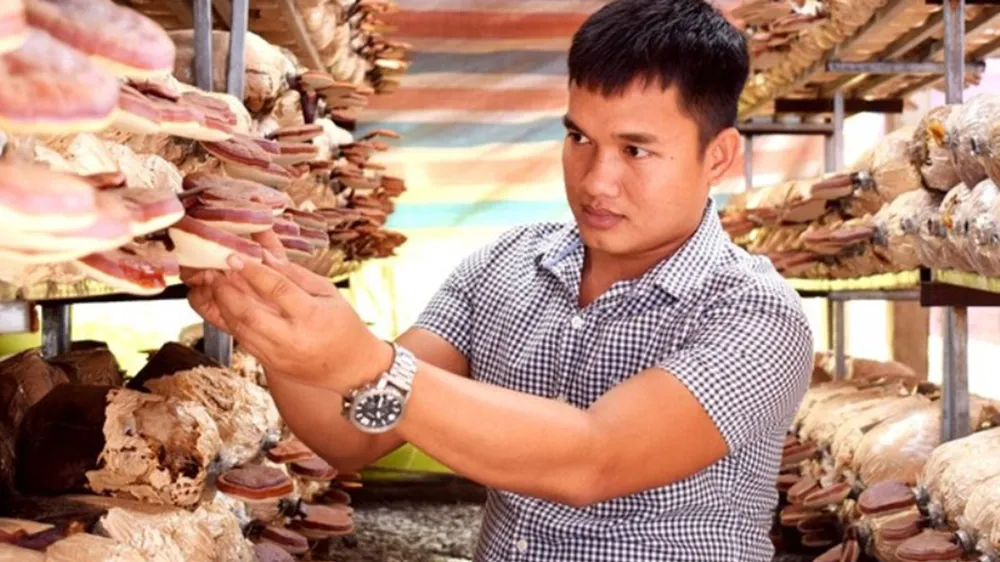Thành công bằng ý chí