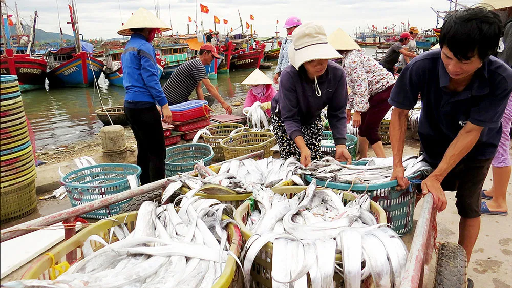 Nhộn nhịp làng biển Quảng Bình