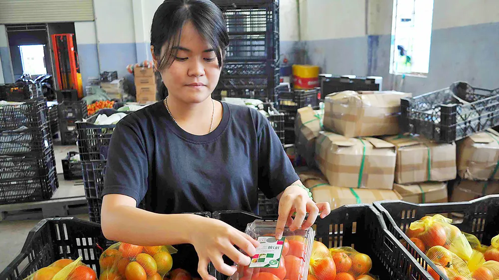 Mở rộng chuỗi thực phẩm an toàn