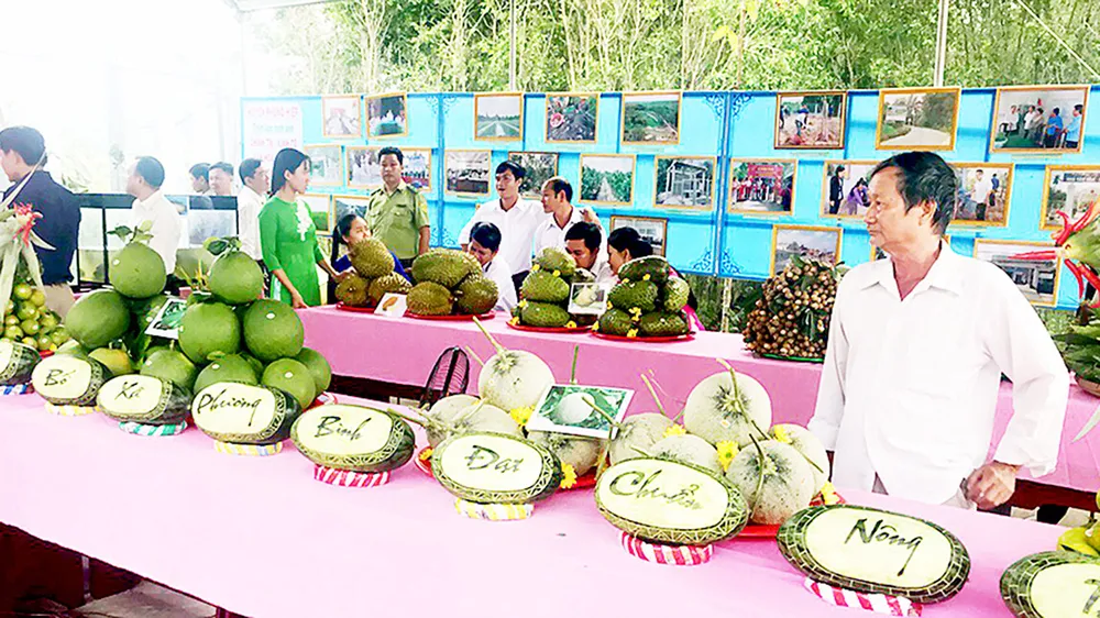 Sức sống mới từ nông thôn mới