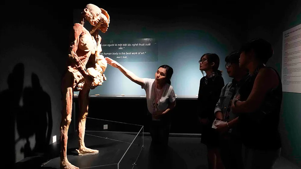 Xung quanh triển lãm “Sự bí ẩn đặc biệt của cơ thể người”: Gây tranh cãi vì chưa có tiền lệ