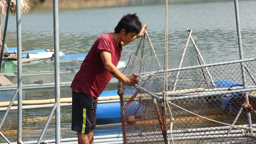 Dựng nghiệp trên “hoang đảo”