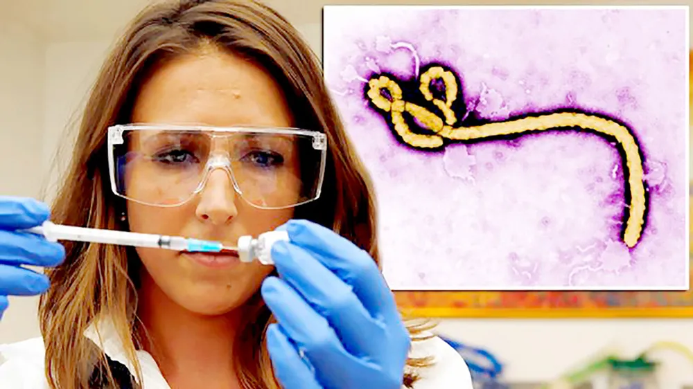 Phát hiện chủng virus Ebola mới 