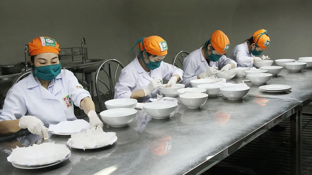Nghề nuôi yến “5 ăn - 5 thua” 