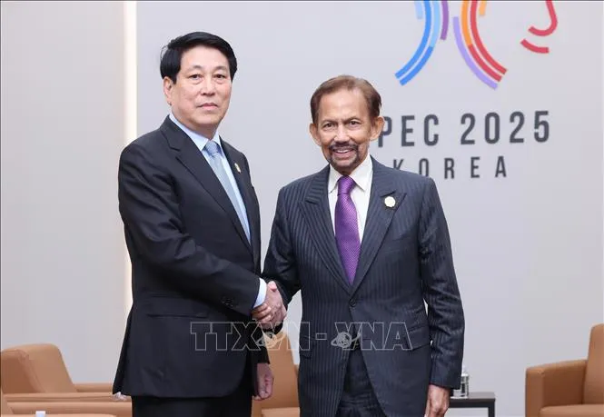 Chủ tịch nước Lương Cường gặp Quốc vương Brunei Hassanal Bolkiah. Ảnh: TTXVN