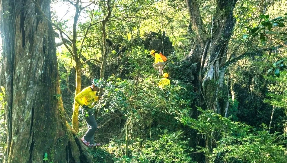 Quần thể hang động triệu năm vừa thức giấc ở Quảng Trị