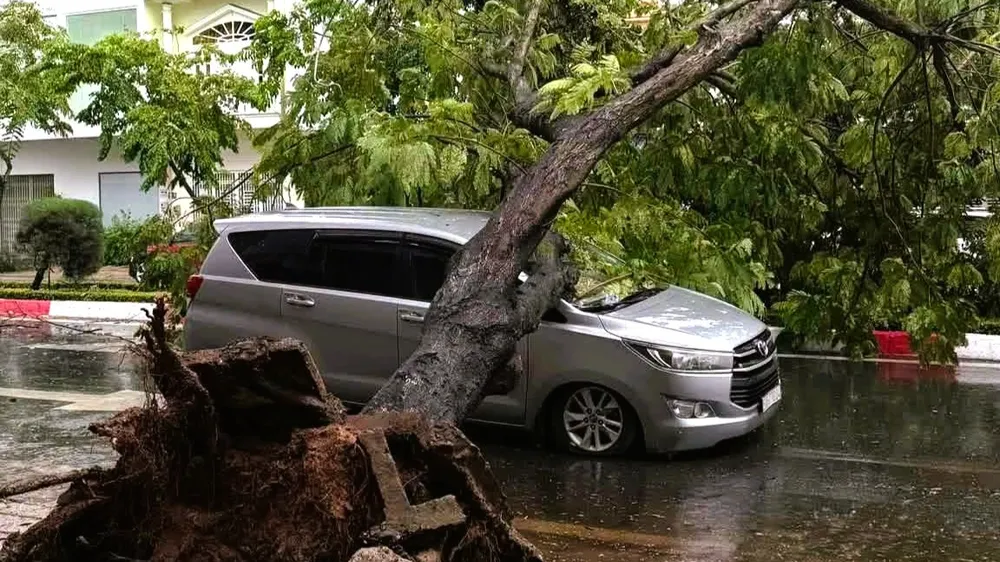 Dông lốc làm cây xanh bật gốc, đè trúng ô tô đang lưu thông