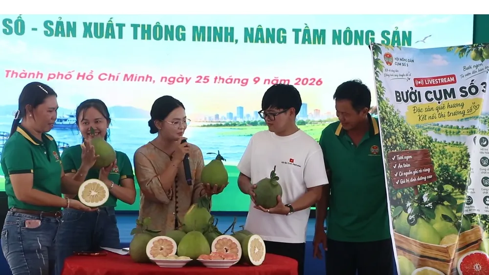 TPHCM: Nông dân thi livestream quảng bá, bán nông sản