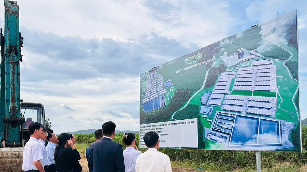 Gia Lai: Hỗ trợ đầu tư dự án tổ hợp chăn nuôi heo công nghệ cao 