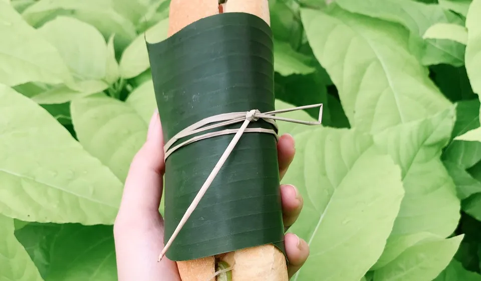 Độc đáo mô hình “Bánh mì xanh”