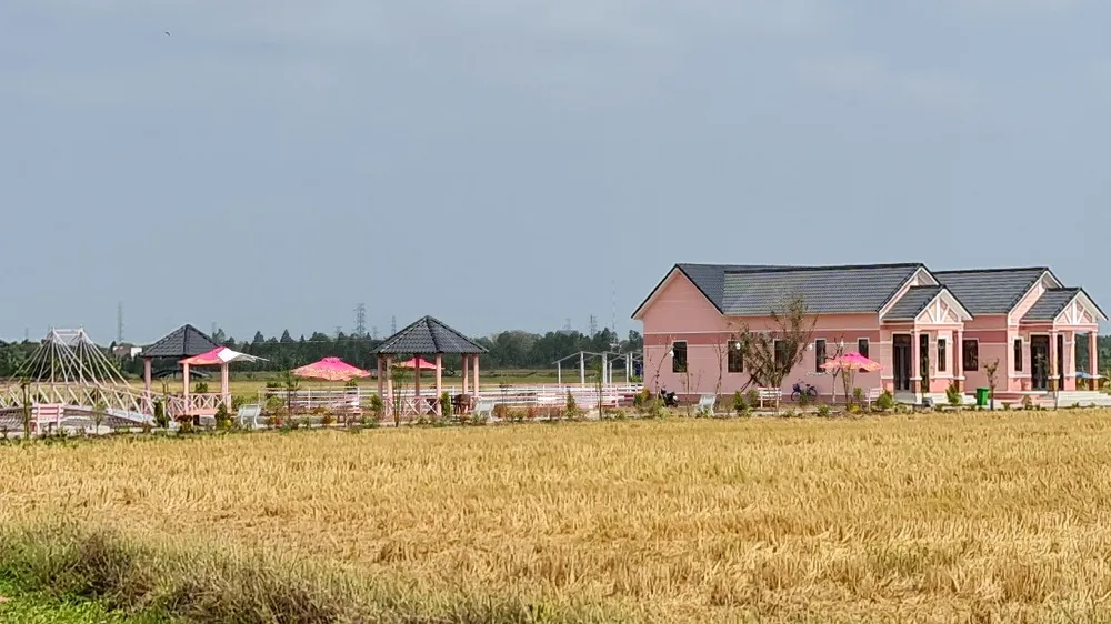Công trình xây dựng không đúng quy định của Công ty TNHH Phát triển đầu tư Kim Loan Quê Tôi. Ảnh: TUẤN QUANG