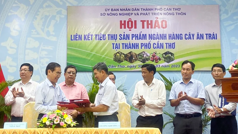Liên kết tiêu thụ sản phẩm ngành hàng cây ăn trái tại TP Cần Thơ