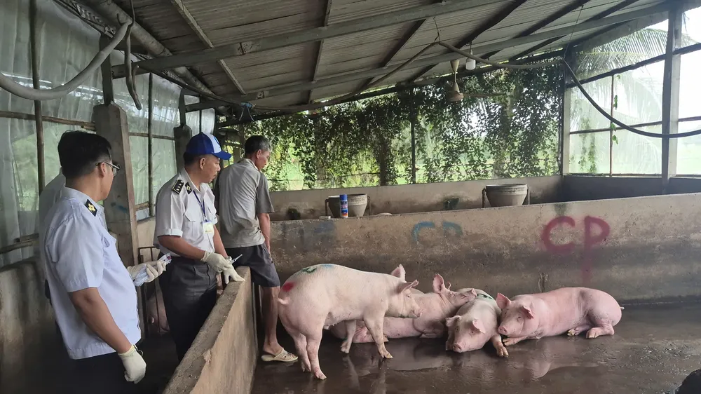 Kết quả kiểm tra lò giết mổ cho cửa hàng CP Fresh Shop tại Sóc Trăng