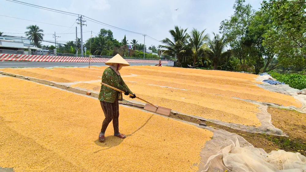 ĐBSCL cần chuyển nguồn lực khoa học công nghệ, đổi mới sáng tạo thành sản phẩm thực tế