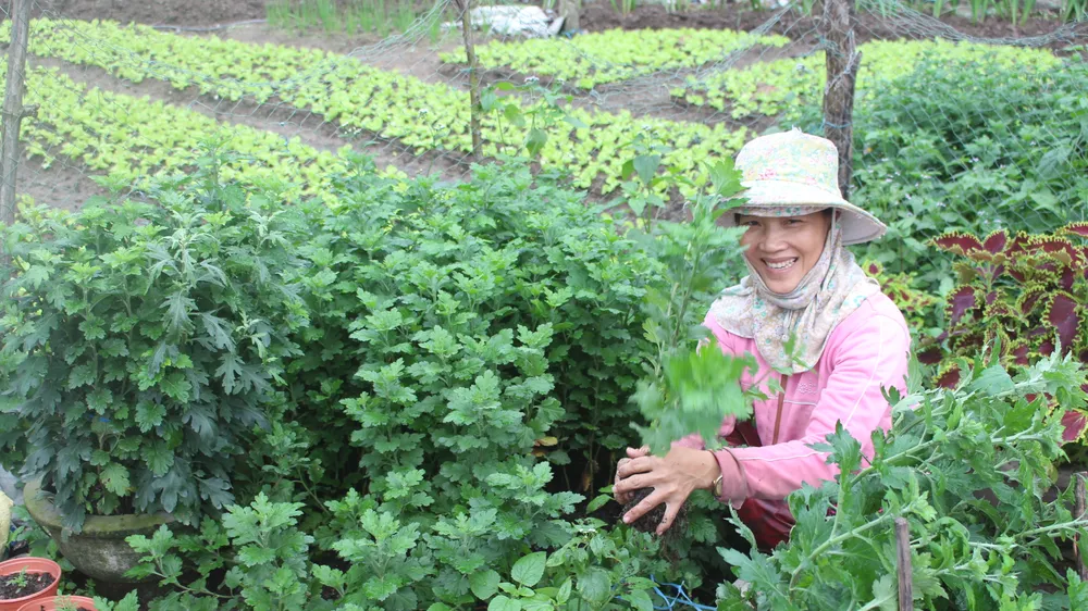 Người dân làng Vân Dương khá lên nhờ trồng hoa 