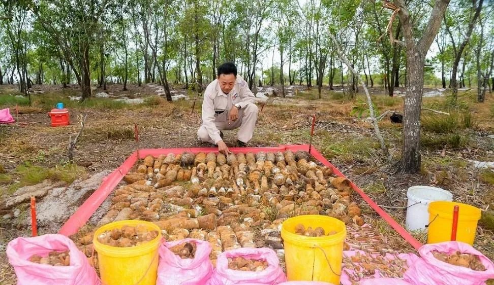 Lực lượng chức năng kiểm tra vật liệu chưa nổ rà được tại hầm.