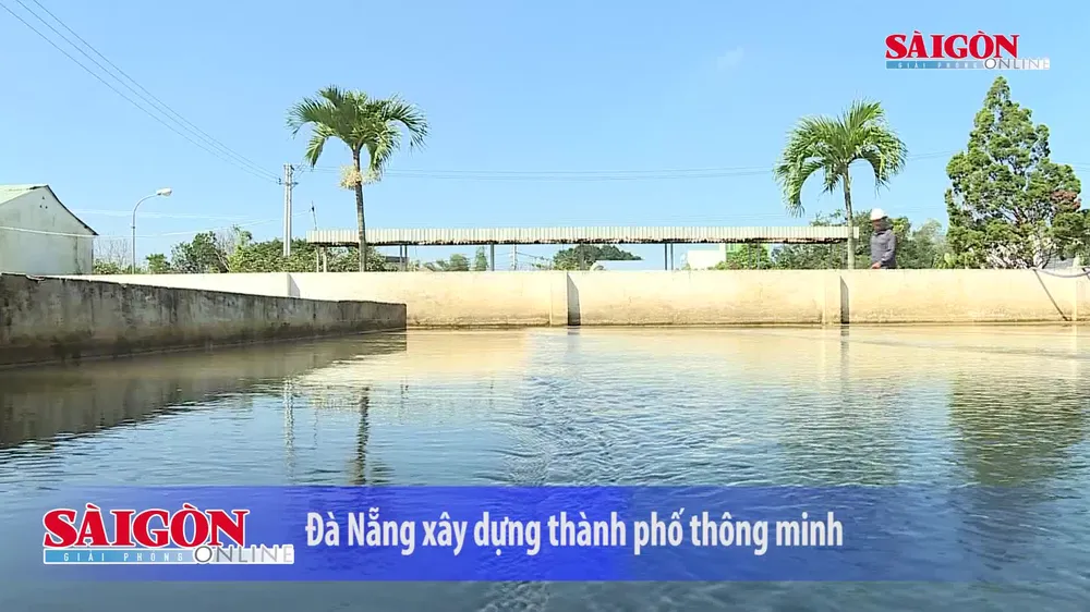 Đà Nẵng xây dựng mô hình thành phố thông minh