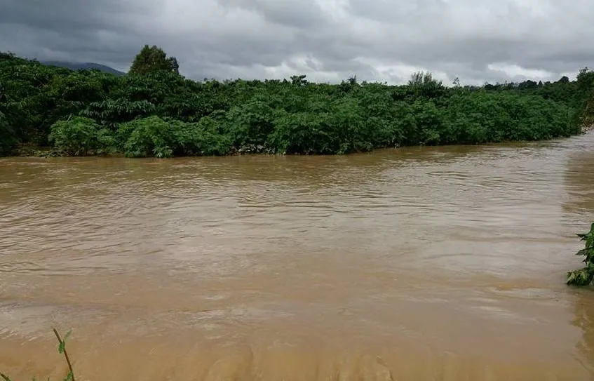Mưa lớn kèm lũ gây ngập nhiều vùng cà phê, lúa tại Lâm Đồng 