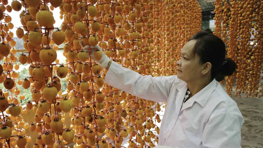 Nghề làm hồng treo đặc sản Đà Lạt