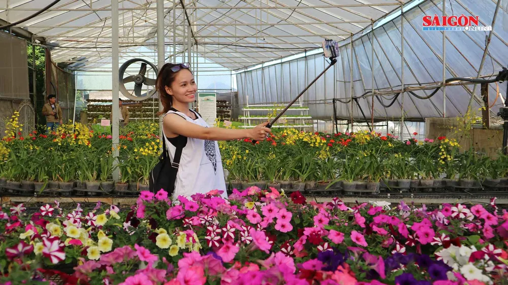 Nông trại Đà Lạt thu nhỏ trong “hộp xanh“