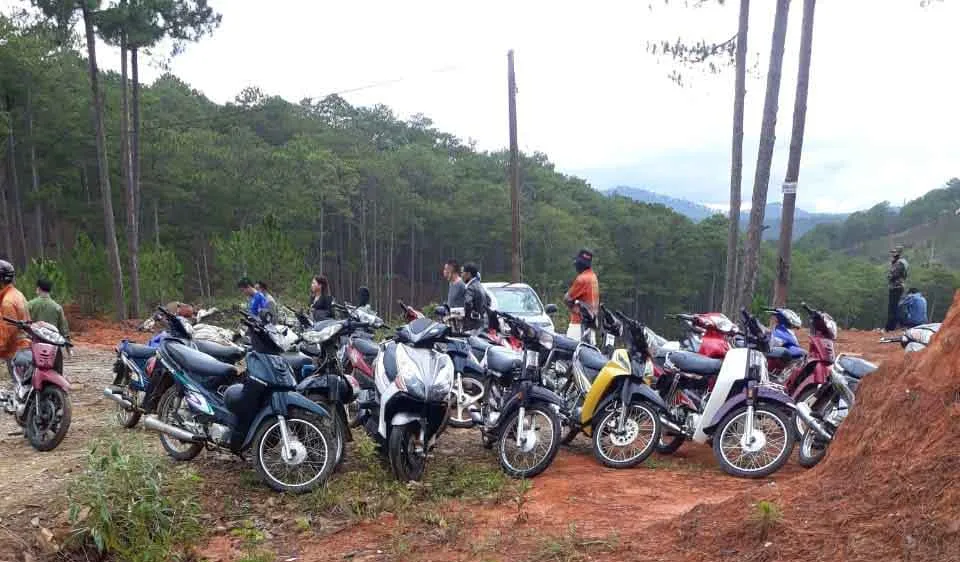 Dân chơi đá gà chạy tán loạn giữa rừng khi bị phát hiện