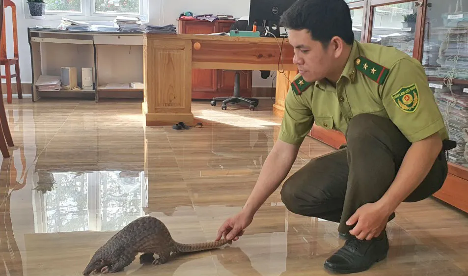 Dân mua thú hoang dã giao cho kiểm lâm thả về rừng