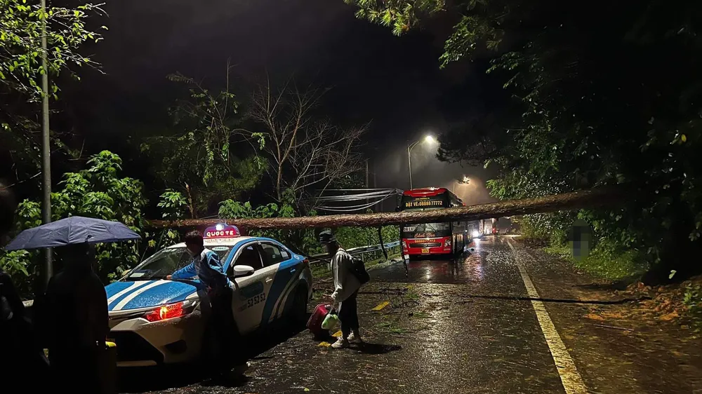 Mưa to, gió lớn, thông đổ vắt ngang đèo Prenn