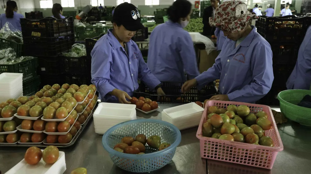Hơn 800 sản phẩm nông nghiệp Lâm Đồng lên sàn thương mại điện tử