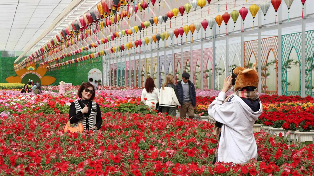 700.000 lượt khách đến Đà Lạt dịp Festival hoa 