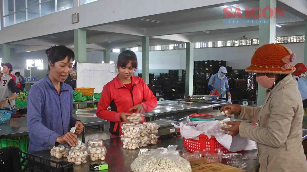 Nâng cao nhận thức về an toàn thực phẩm trong sản xuất, kinh doanh
