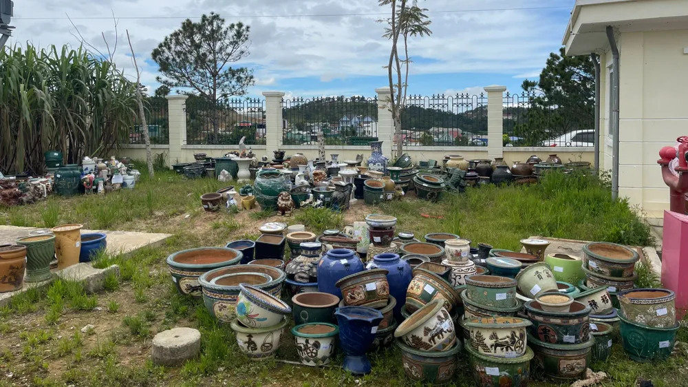 Khởi tố 6 đối tượng trộm hàng trăm chậu sành sứ ở Đà Lạt