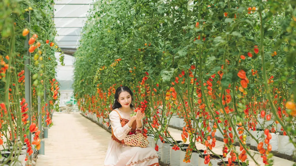 “Hiến kế” phát triển du lịch Đà Lạt