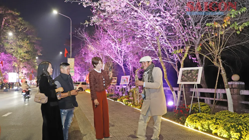 Đường nghệ thuật hoa Mai anh đào Đà Lạt mở cửa phục vụ du khách