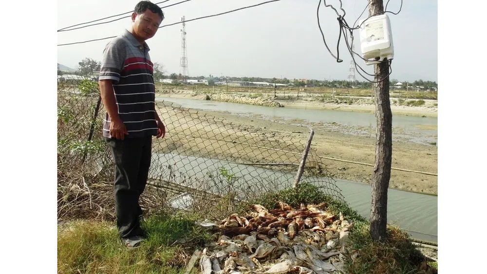 Dân nuôi thủy sản đầm Thủy Triều dài cổ chờ đền bù
