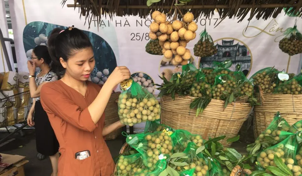 Sản phẩm nhãn lồng Hưng Yên do các HTX trồng được giới thiệu tại tuần lễ nhãn lồng Hưng Yên ở Hà Nội sáng 25-8