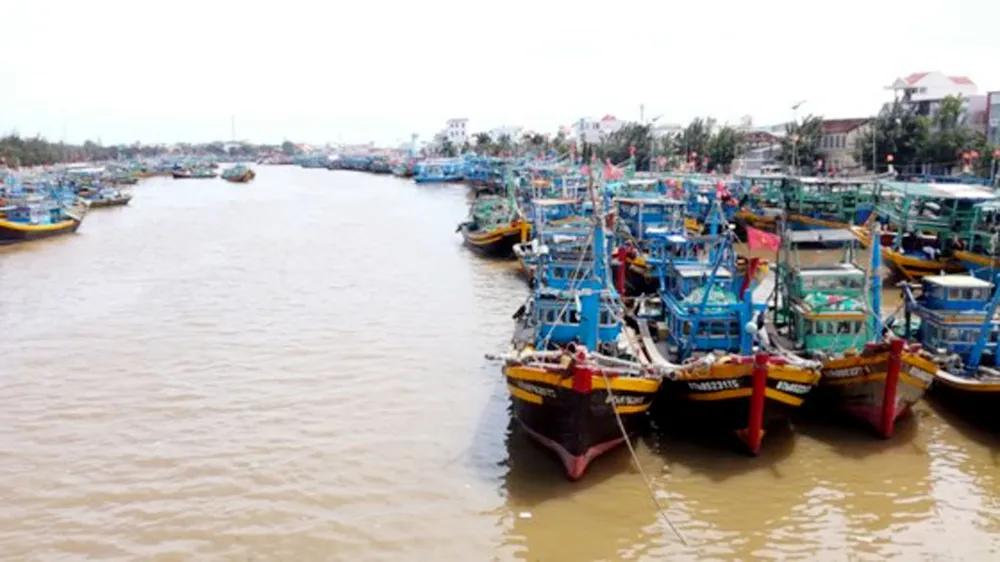 Bão số 12: Nhiều tàu thuyền và lao động còn trong vùng nguy hiểm