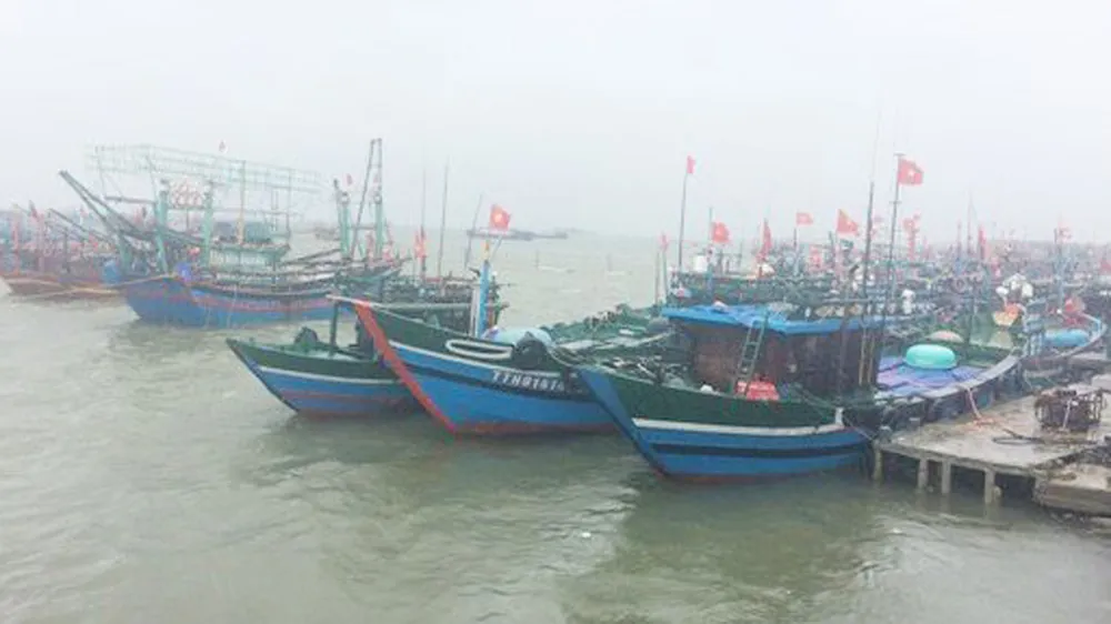 Áp thấp nhiệt đới cập bờ, 15 tàu chưa liên lạc được