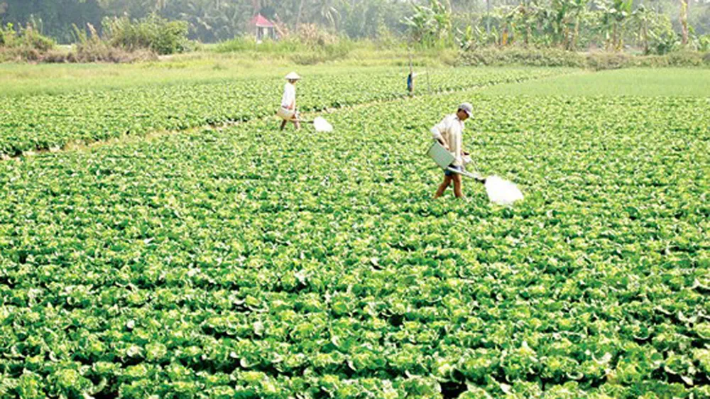 Trong một năm hơn 2.000 hợp tác xã kiểu mới ra đời