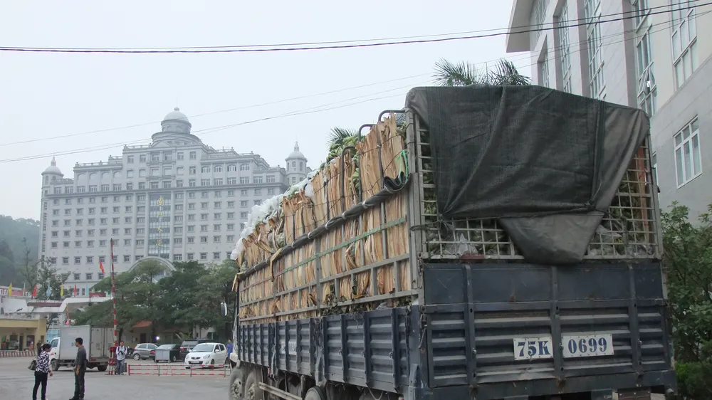 Từ 1-4, rau củ quả Việt Nam xuất sang Trung Quốc phải có nhãn mác xuất xứ