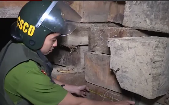 Báo động tình trạng phá rừng tràn lan