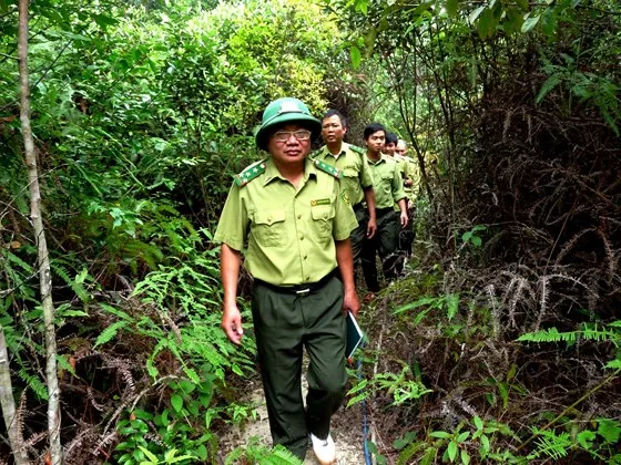 Không thể nói dối về thực trạng rừng Việt Nam