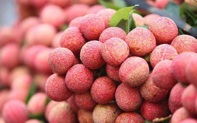 Hơn 30 nước mua 87.000 tấn vải thiều của Việt Nam ​