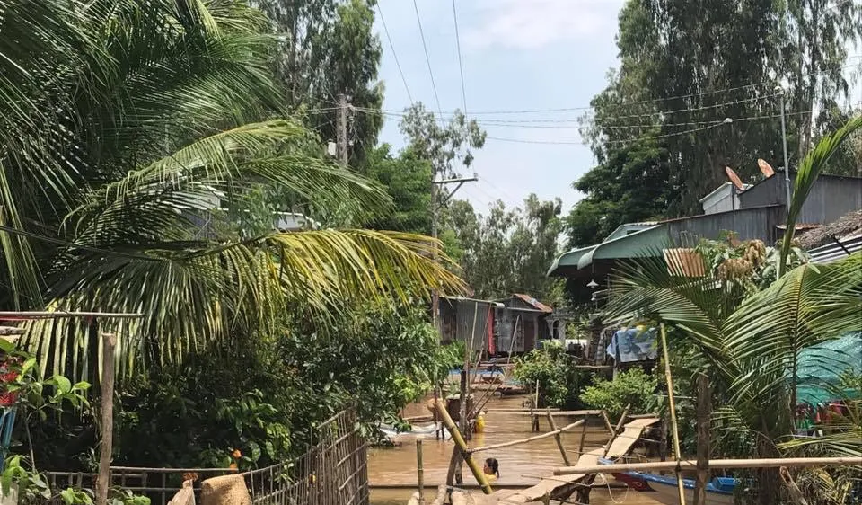 Nước lũ ở đồng bằng sông Cửu Long “tạm xuống” rồi lại lên cao